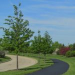 5 3.jpg nggid018 ngg0dyn 300x300x100 00f0w010c010r110f110r010t010 - Garelli Pavement Service